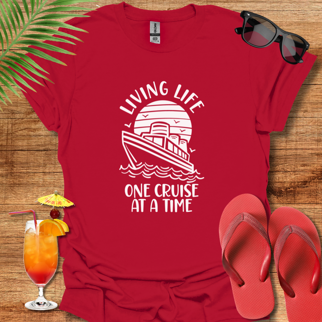 One Cruise At A Time